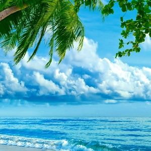 Meet your Posher, Lucy